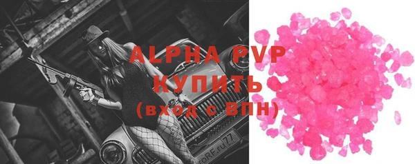стафф Новозыбков