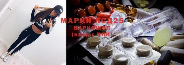 стафф Новозыбков