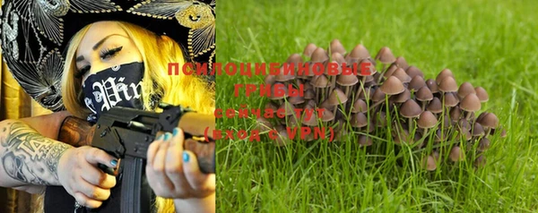 круглые Нягань
