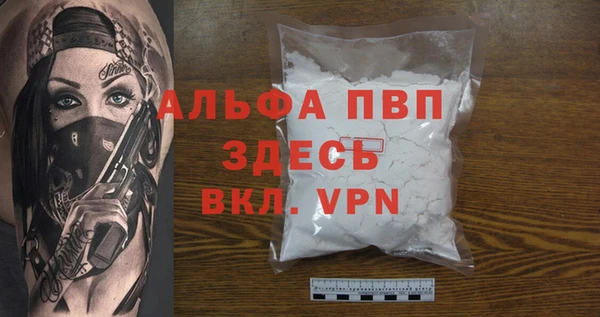 стафф Новозыбков