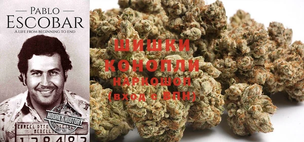 стафф Новозыбков