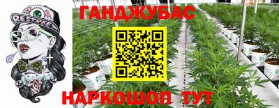 хмурый Гай