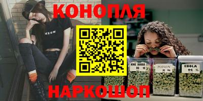 гашик Гагарин