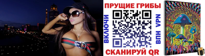 Галлюциногенные грибы Psilocybe  мега как зайти  Новоуральск 